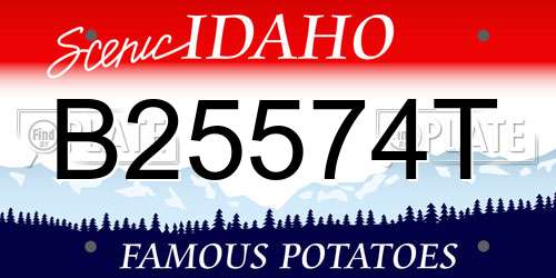 B25574T Idaho License Plate