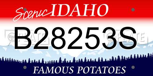 B28253S Idaho License Plate