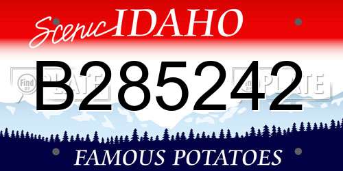 B285242 Idaho License Plate
