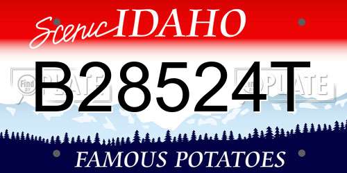 B28524T Idaho License Plate