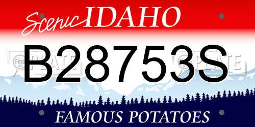 B28753S Idaho License Plate