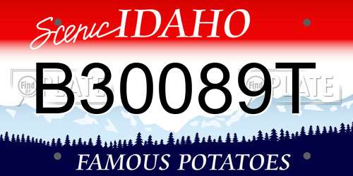 B30089T Idaho License Plate