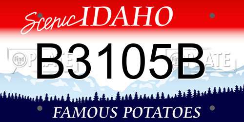 B3105B Idaho License Plate