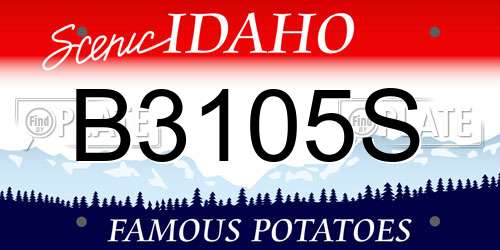 B3105S Idaho License Plate