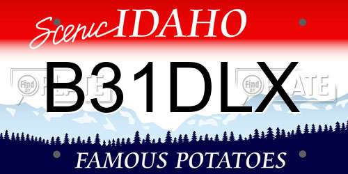 B31DLX Idaho License Plate
