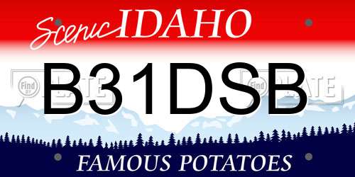B31DSB Idaho License Plate