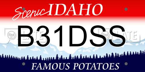 B31DSS Idaho License Plate