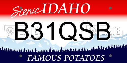 B31QSB Idaho License Plate