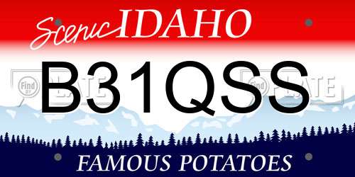 B31QSS Idaho License Plate