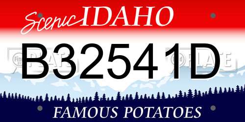 B32541D Idaho License Plate