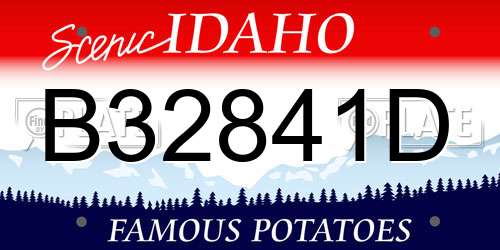 B32841D Idaho License Plate