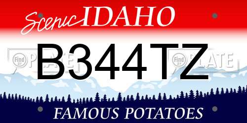 B344TZ Idaho License Plate