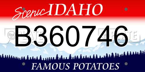 B360746 Idaho License Plate