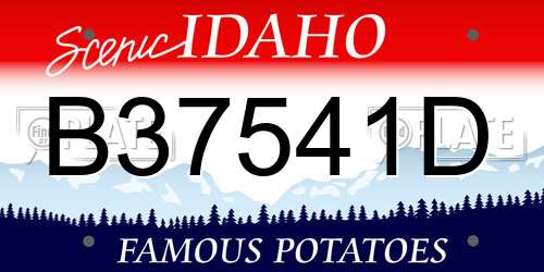 B37541D Idaho License Plate