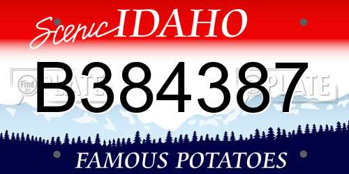 B384387 Idaho License Plate