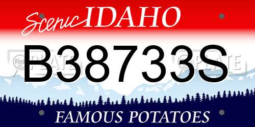 B38733S Idaho License Plate