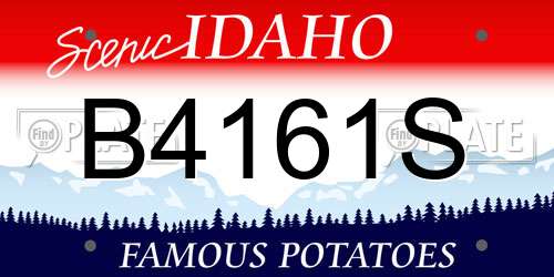 B4161S Idaho License Plate