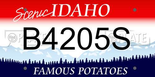 B4205S Idaho License Plate
