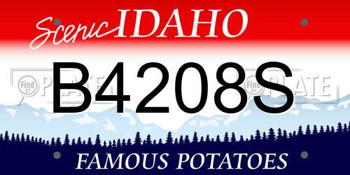 B4208S Idaho License Plate