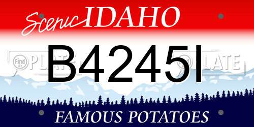 B4245I Idaho License Plate