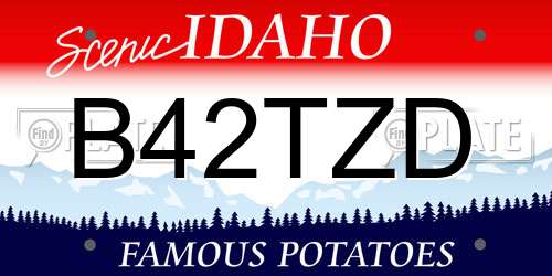 B42TZD Idaho License Plate