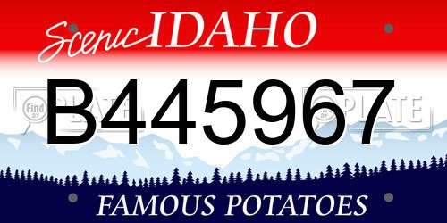 B445967 Idaho License Plate