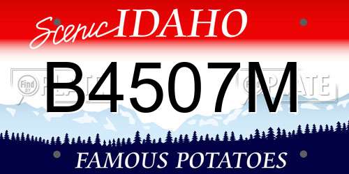 B4507M Idaho License Plate