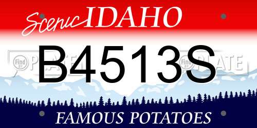 B4513S Idaho License Plate