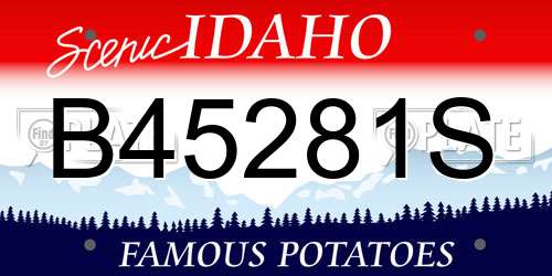 B45281S Idaho License Plate