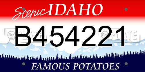 B454221 Idaho License Plate