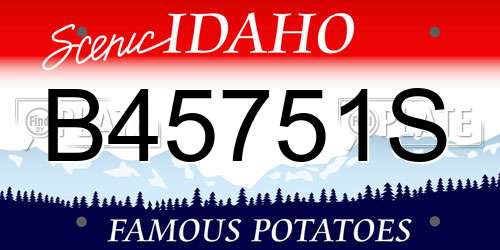 B45751S Idaho License Plate