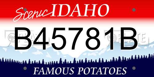 B45781B Idaho License Plate