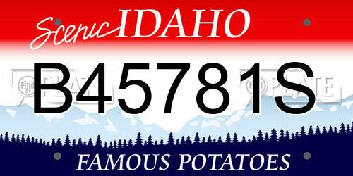 B45781S Idaho License Plate