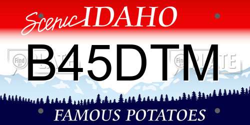 B45DTM Idaho License Plate