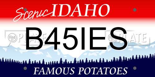 B45IES Idaho License Plate