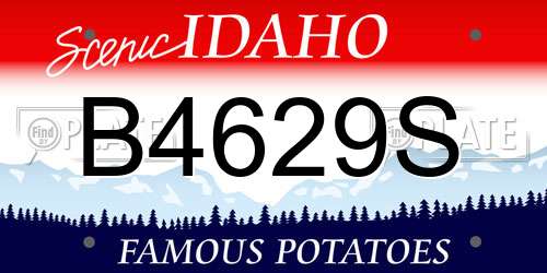B4629S Idaho License Plate