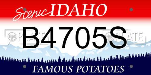 B4705S Idaho License Plate