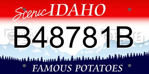 B48781B Idaho License Plate
