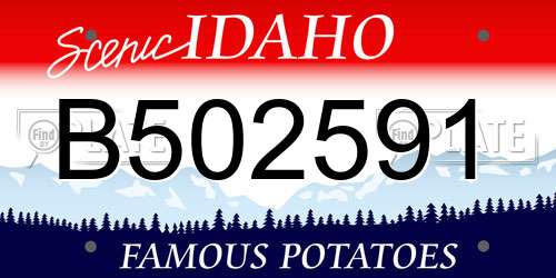 B502591 Idaho License Plate