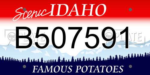 B507591 Idaho License Plate