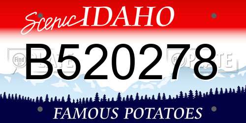 B520278 Idaho License Plate
