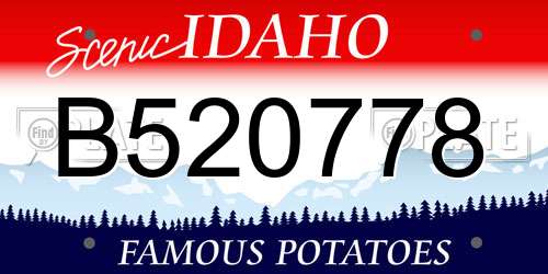 B520778 Idaho License Plate