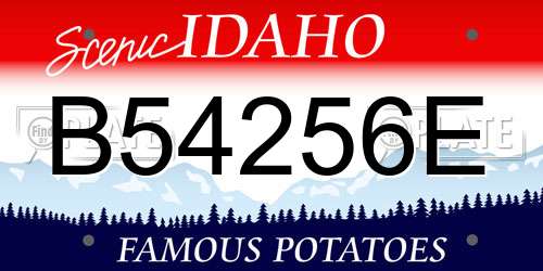 B54256E Idaho License Plate
