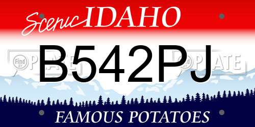 B542PJ Idaho License Plate