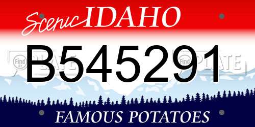 B545291 Idaho License Plate