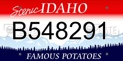 B548291 Idaho License Plate