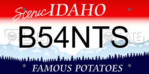 B54NTS Idaho License Plate