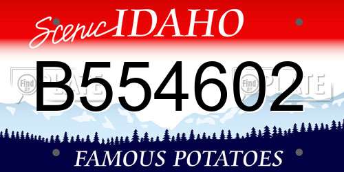 B554602 Idaho License Plate