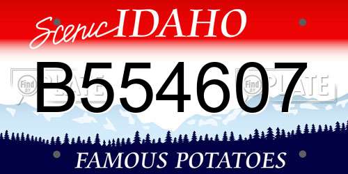 B554607 Idaho License Plate