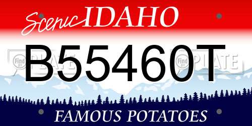 B55460T Idaho License Plate